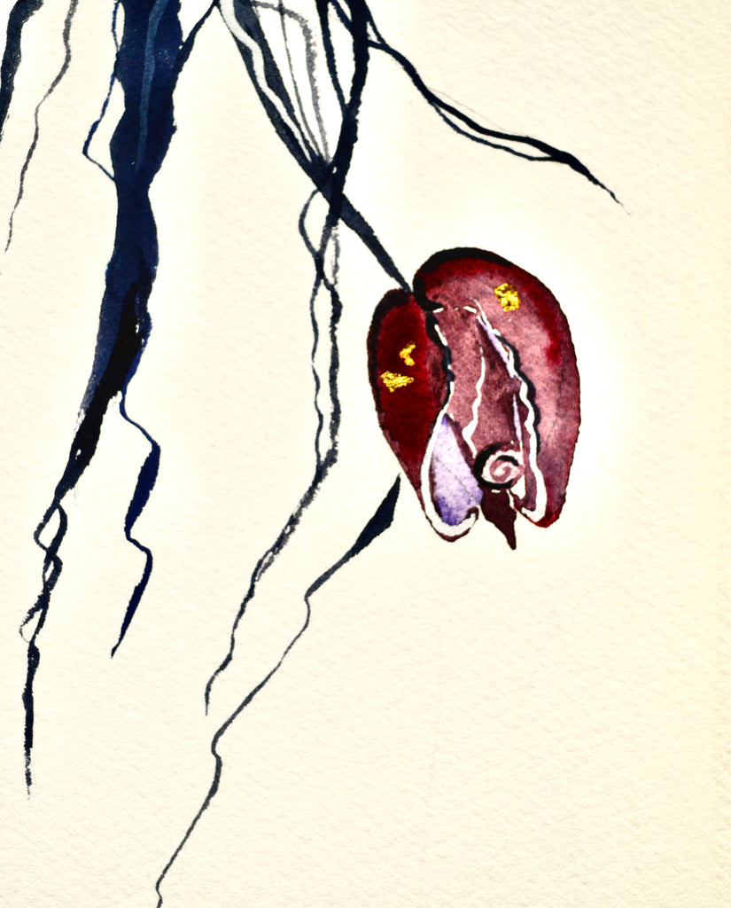 'Romeo' with 23K gold leaf, the new Collectors Edition