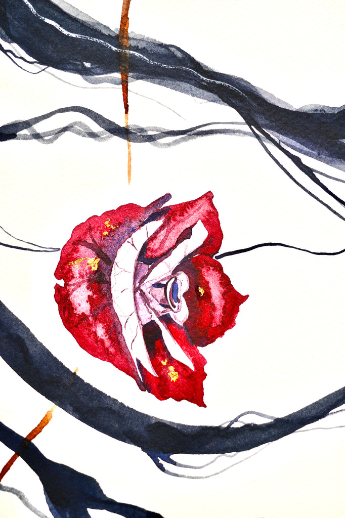 'Romeo' with 23K gold leaf, the new Collectors Edition