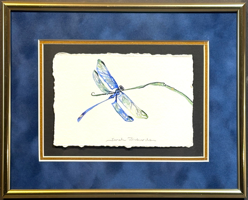 Dragonfly on grass with 23K gold leaf framed to approx 9x11, $195