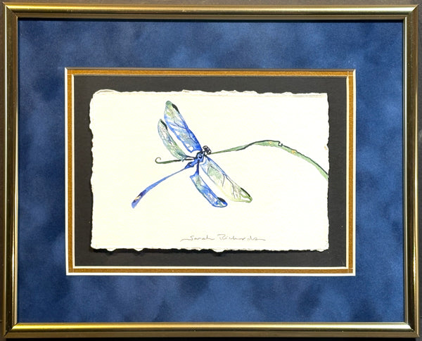 Dragonfly on grass with 23K gold leaf framed to approx 9x11, $195