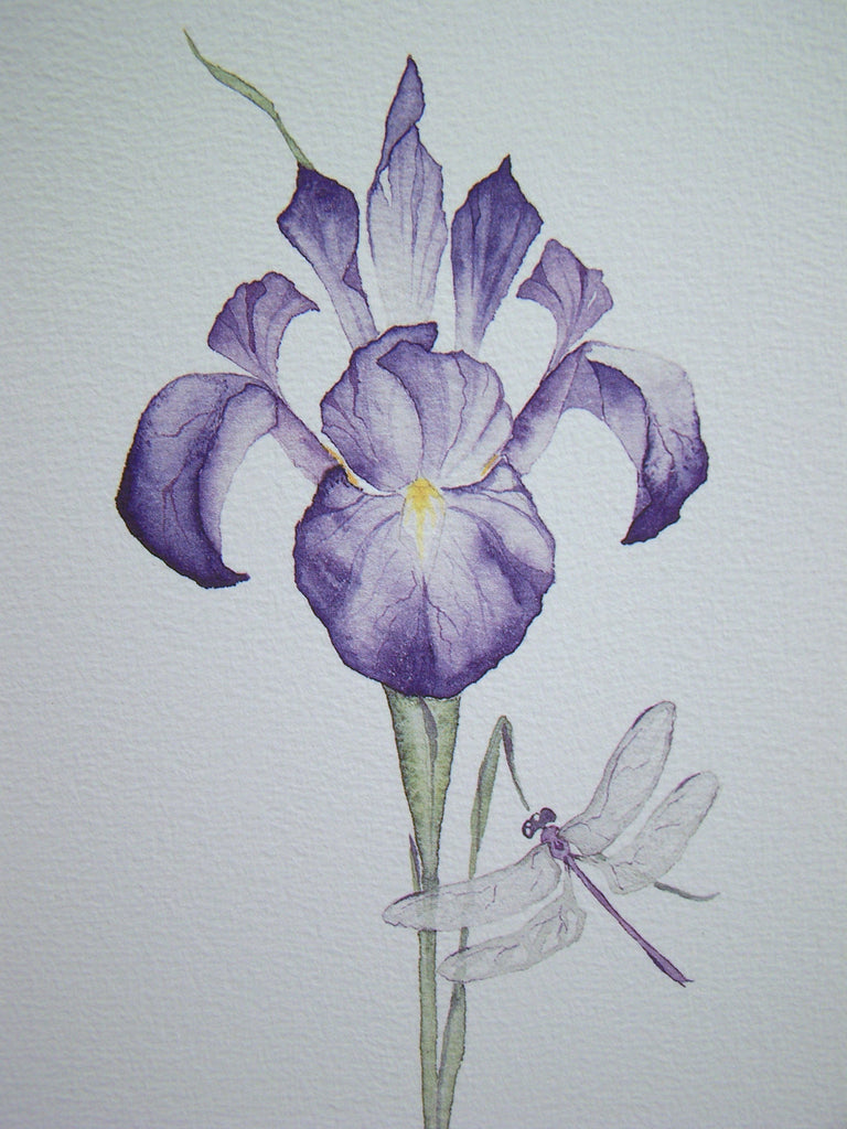 Iris (unframed)
