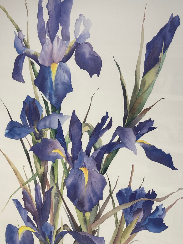 Lucy's Iris by Lyn Snow