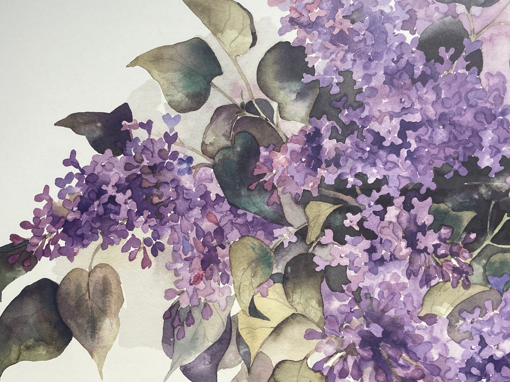 Lilacs by Lyn Snow